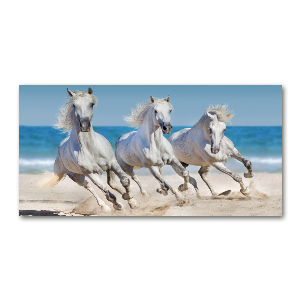 Foto schilderij op glas Witte paardenstrand