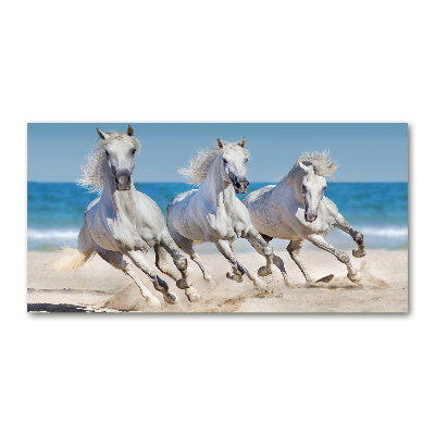 Foto schilderij op glas Witte paardenstrand