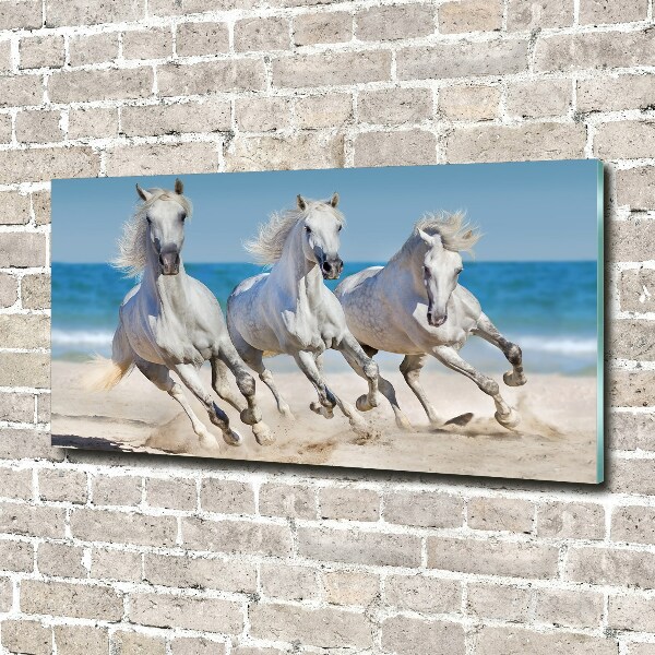 Foto schilderij op glas Witte paardenstrand