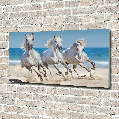 Foto schilderij op glas Witte paardenstrand