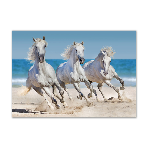 Foto schilderij op glas Witte paardenstrand