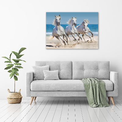 Foto schilderij op glas Witte paardenstrand