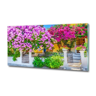 Foto schilderij op glas Huis met bougainvillea