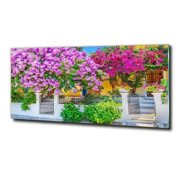 Foto schilderij op glas Huis met bougainvillea