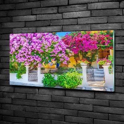 Foto schilderij op glas Huis met bougainvillea