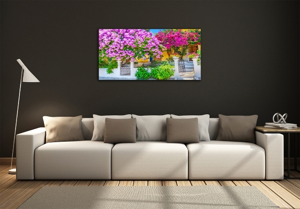 Foto schilderij op glas Huis met bougainvillea