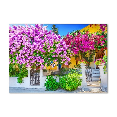 Foto schilderij op glas Huis met bougainvillea