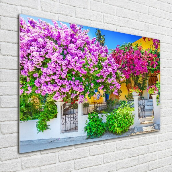Foto schilderij op glas Huis met bougainvillea