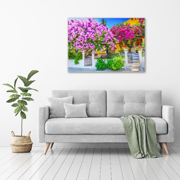 Foto schilderij op glas Huis met bougainvillea