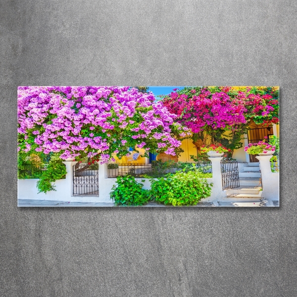 Foto schilderij op glas Huis met bougainvillea
