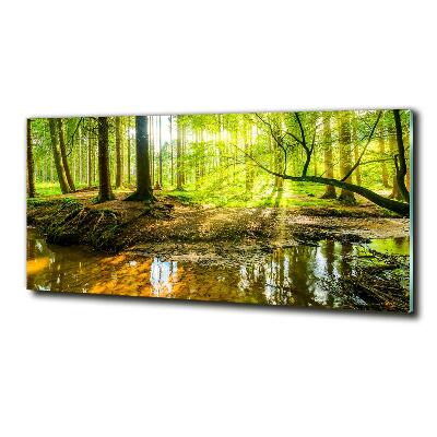 Schilderij op glas Een vijver in het bos