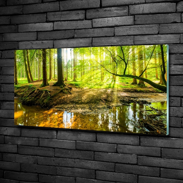 Schilderij op glas Een vijver in het bos