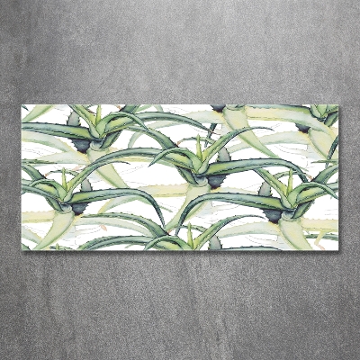 Foto obraz zdjęcie szkło hartowane Aloes