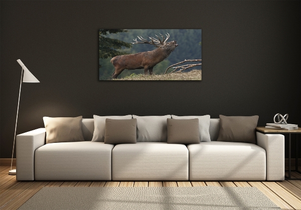 Foto-obraz szklany Jeleń na wzgórzu