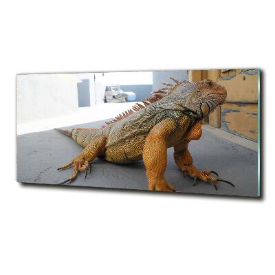Foto-obraz zdjęcie szkło hartowane Iguana