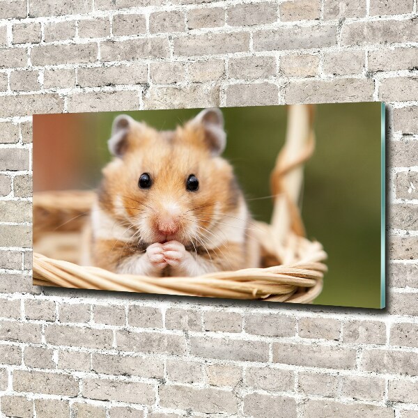 Glazen schilderij Hamster in een mandje