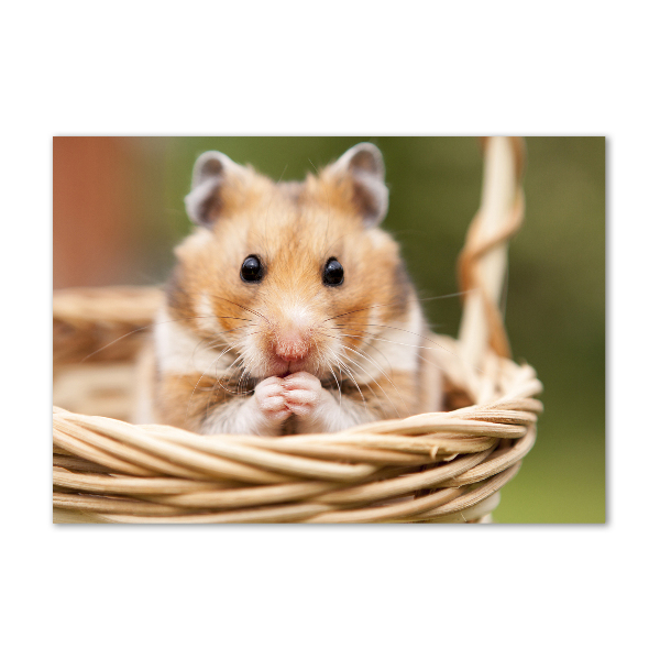 Glazen schilderij Hamster in een mandje