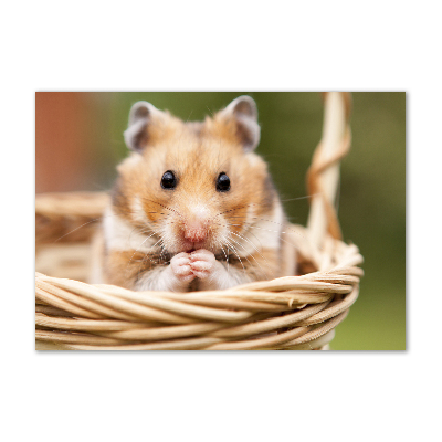 Glazen schilderij Hamster in een mandje