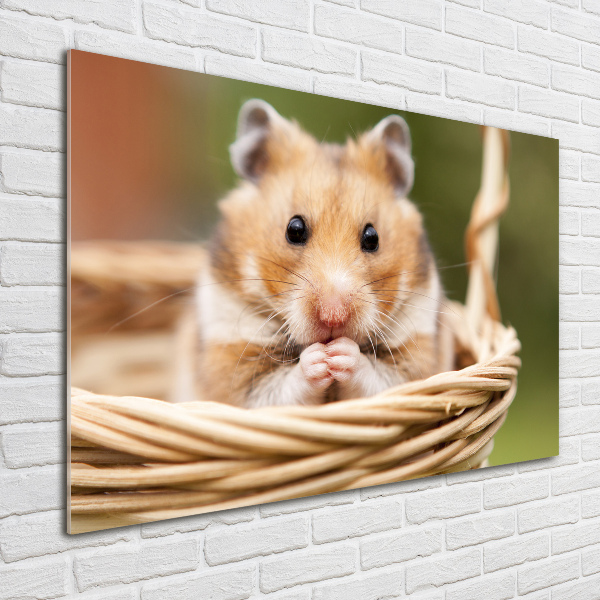 Glazen schilderij Hamster in een mandje
