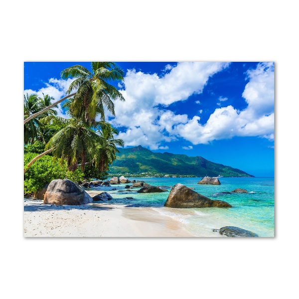 Foto schilderij op glas strand op de Seychellen