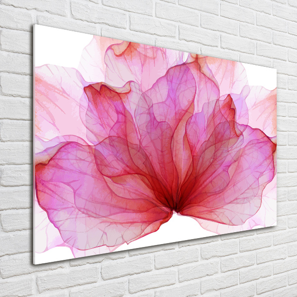 Schilderij glas Roze bloem
