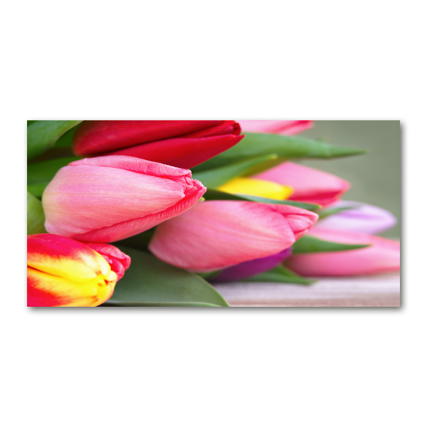 Glazen schilderij Kleurrijke tulpen