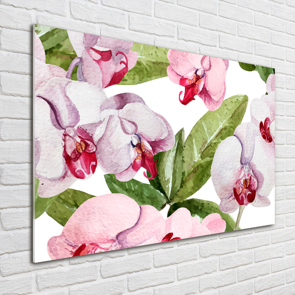 Glazen schilderij Roze orchideeën