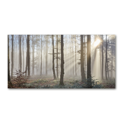 Foto schilderij op glas Mist in het bos