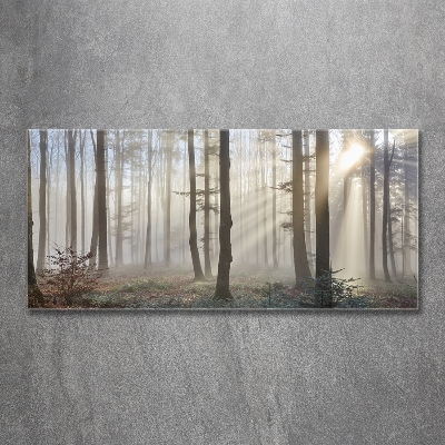 Foto schilderij op glas Mist in het bos