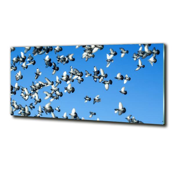Schilderij op glas Een zwerm duiven