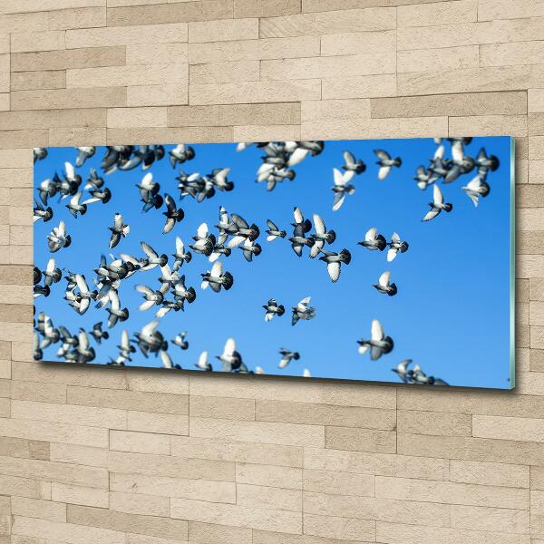 Schilderij op glas Een zwerm duiven