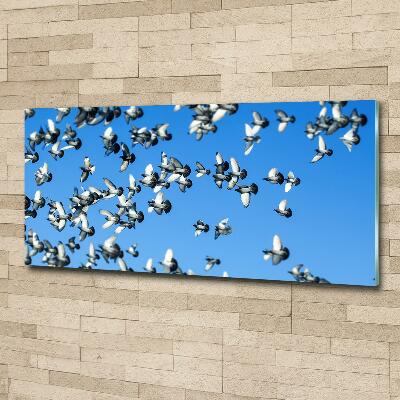 Schilderij op glas Een zwerm duiven