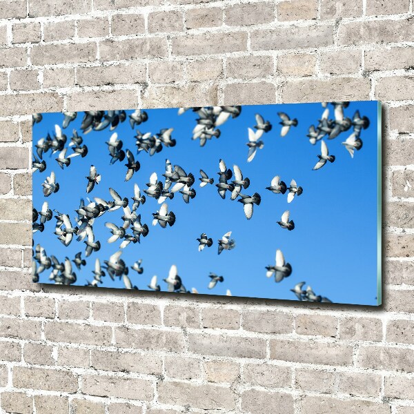 Schilderij op glas Een zwerm duiven