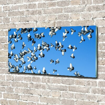Schilderij op glas Een zwerm duiven