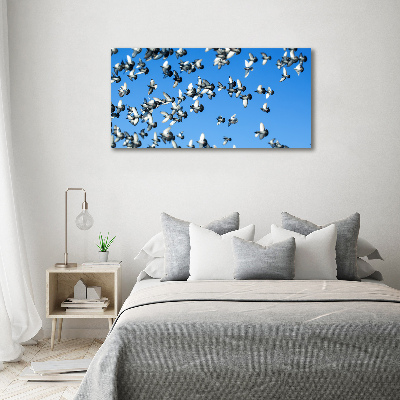 Schilderij op glas Een zwerm duiven