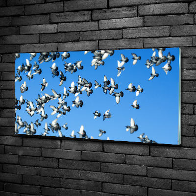 Schilderij op glas Een zwerm duiven