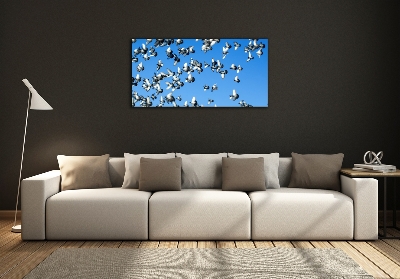 Schilderij op glas Een zwerm duiven