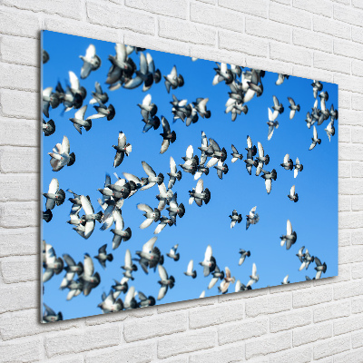 Schilderij op glas Een zwerm duiven