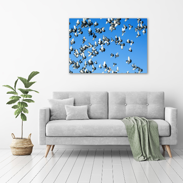 Schilderij op glas Een zwerm duiven