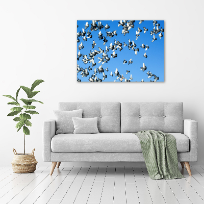 Schilderij op glas Een zwerm duiven