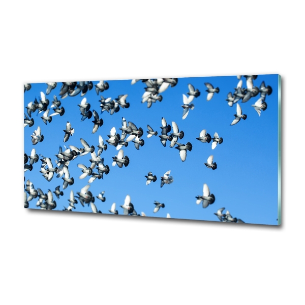 Schilderij op glas Een zwerm duiven
