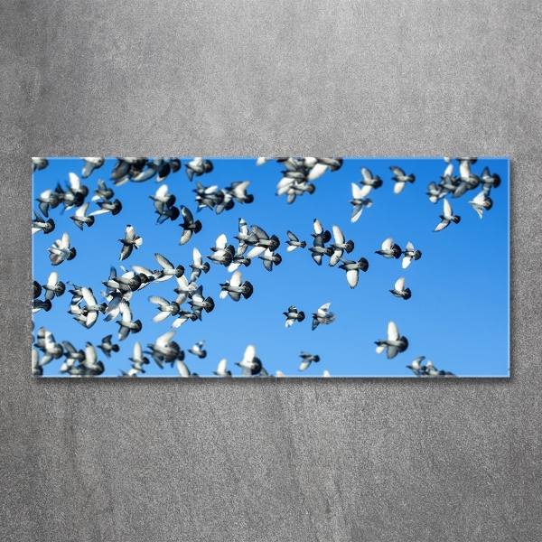 Schilderij op glas Een zwerm duiven