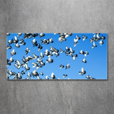 Schilderij op glas Een zwerm duiven