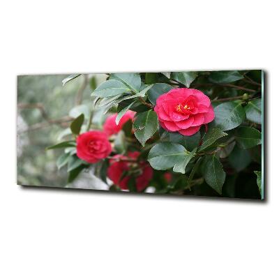 Schilderij op glas Camelia