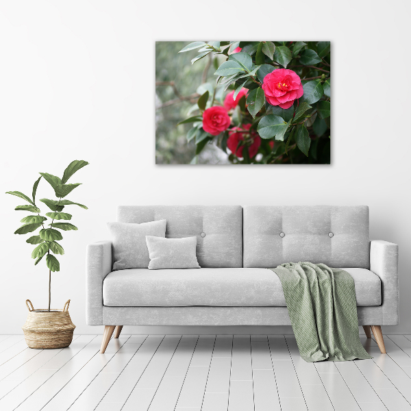 Schilderij op glas Camelia