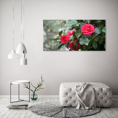 Schilderij op glas Camelia