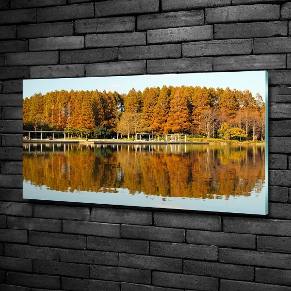 Foto obraz szklany Las nad jeziorem