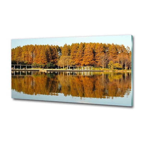 Foto obraz szklany Las nad jeziorem