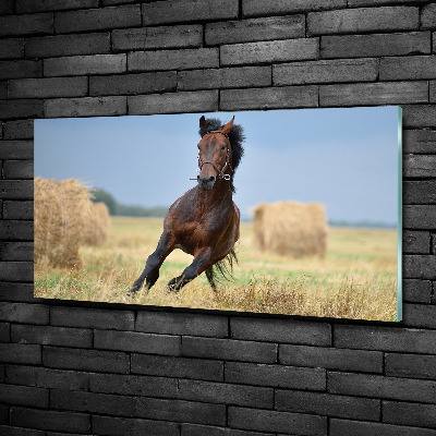 Glazen schilderij Een galopperend paard