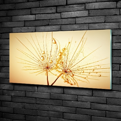 Glazen schilderij Paardenbloemzaden